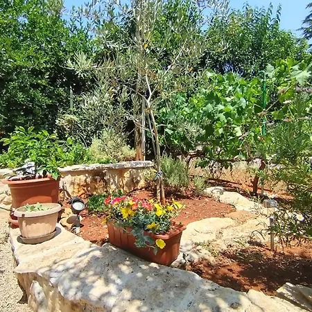 Apartment Mihaela