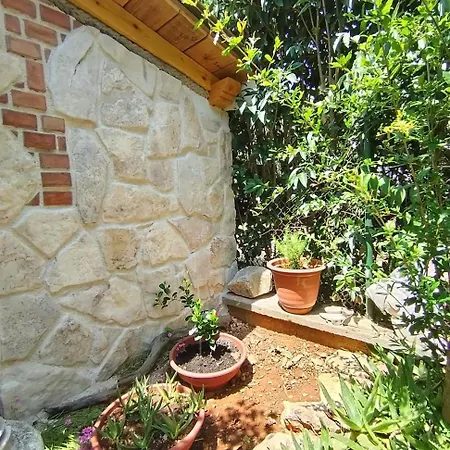 Mihaela Apartment *