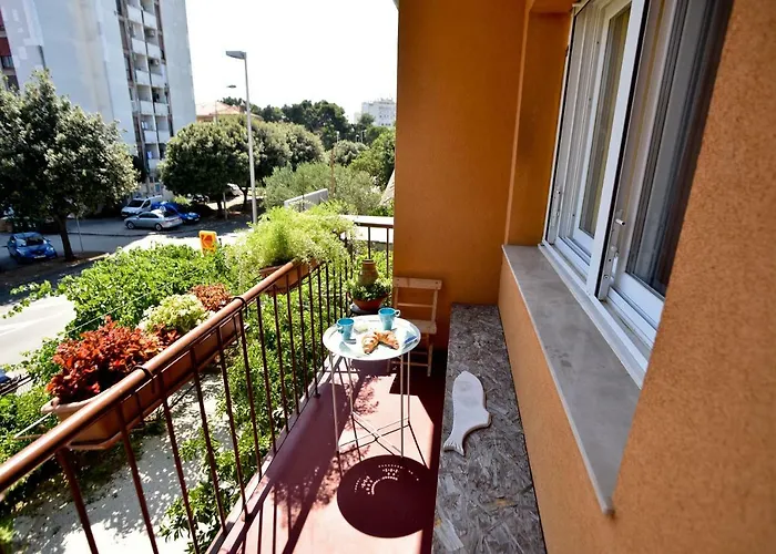 Mihaela * زادار